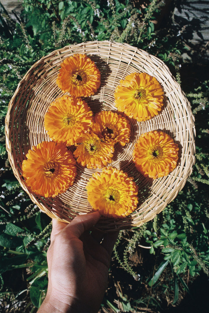 Herbs and flowers to support your newborn baby