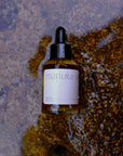 Body Oil ~ Mānuka Sun Oil